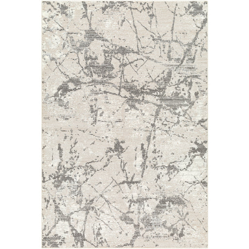 Surya Alder Ald-2314 Rug 8'11" X 12'