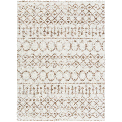 Surya Aliyah Shag Tan Rug 2' X 3'