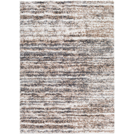 Surya Aliyah Shag Charcoal Rug 2' X 3'