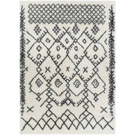Surya Aliyah Shag Rug 2' X 3' - Cream & Charcoal