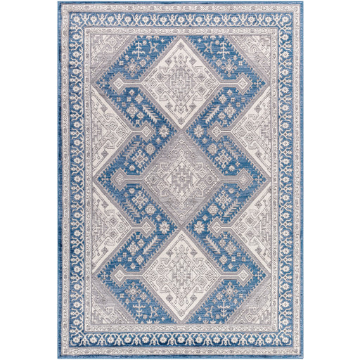 Surya Alamo Alo-2317 Rug 7'10" X 10'
