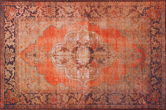 Amanti AM1 Ginger 1'8" x 2'6" Rug