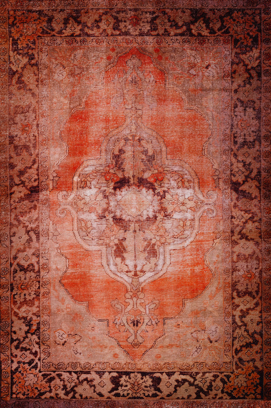 Amanti AM1 Ginger 3'3" x 5'3" Rug