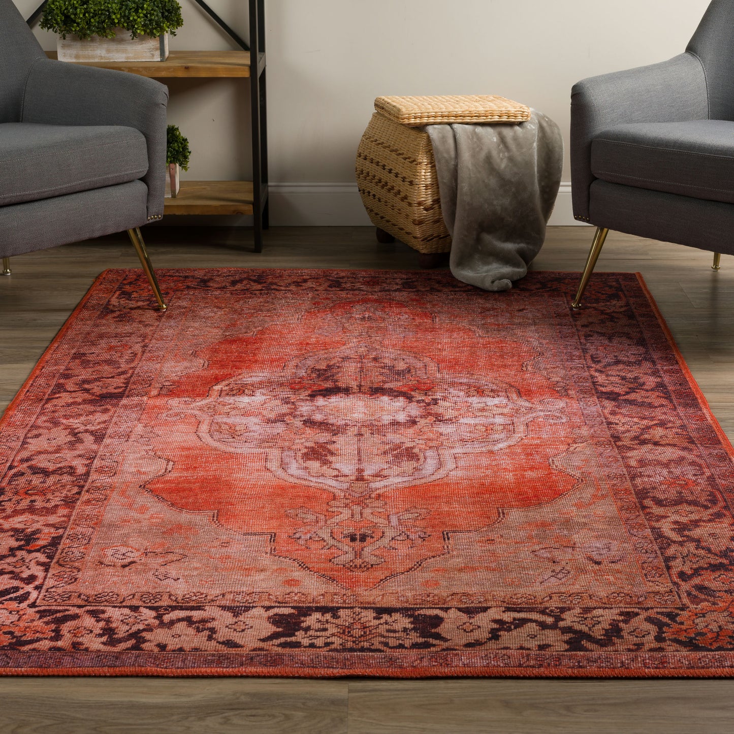 Amanti AM1 Ginger 3'3" x 5'3" Rug