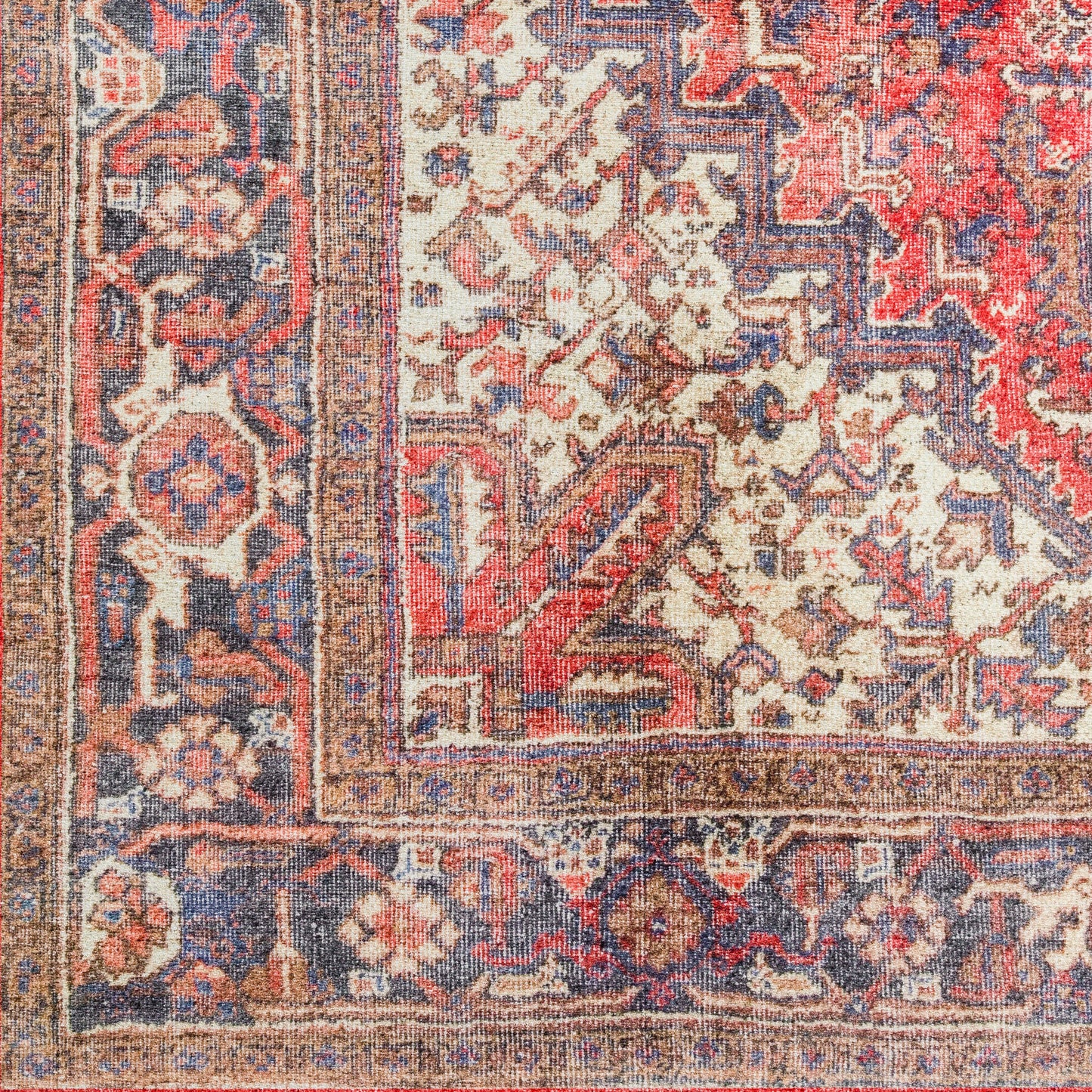 Amanti AM3 Cardinal 1'8" x 2'6" Rug