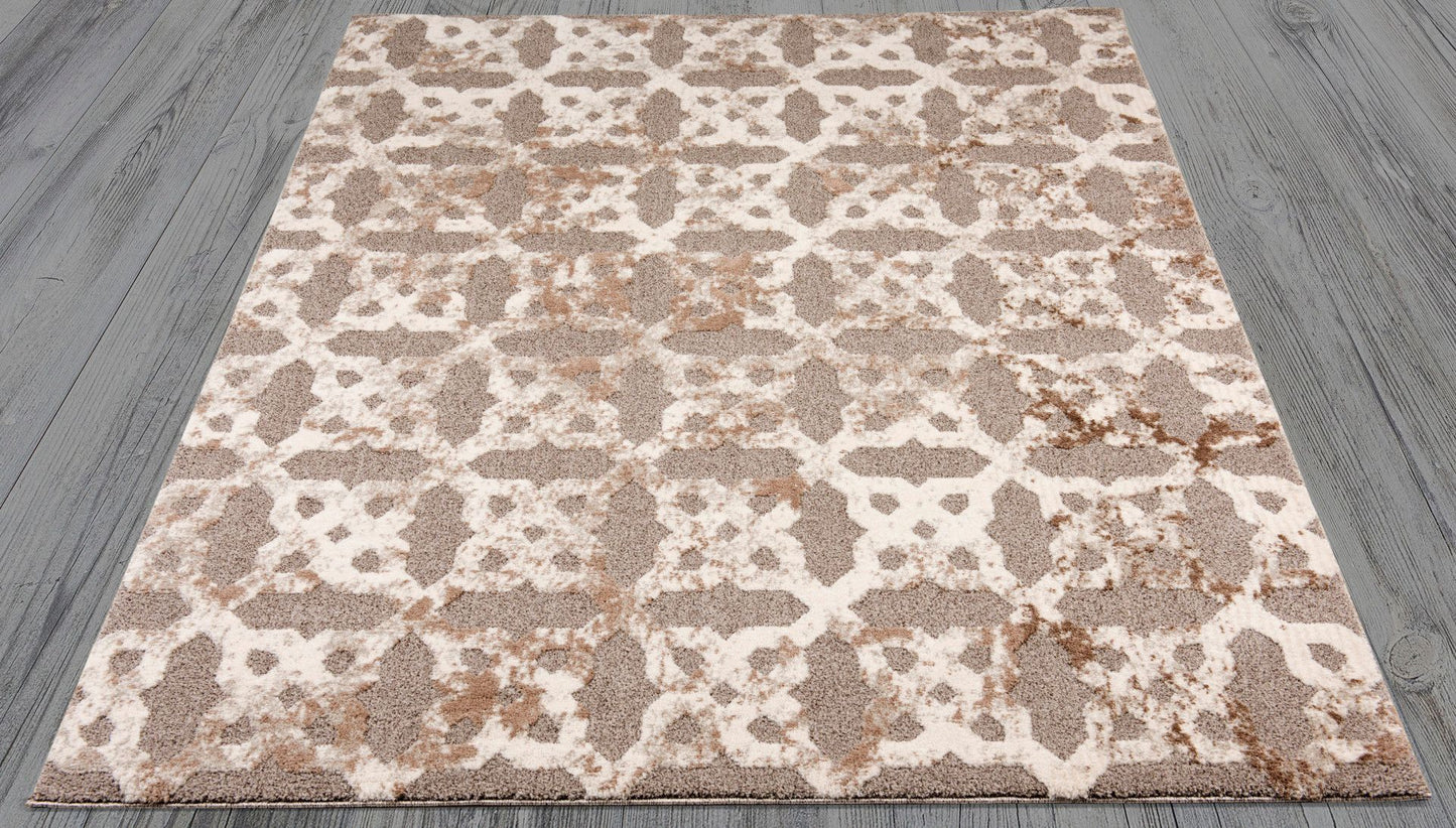 Amazon-Az-018-5.3 X 7.6 Area Rug