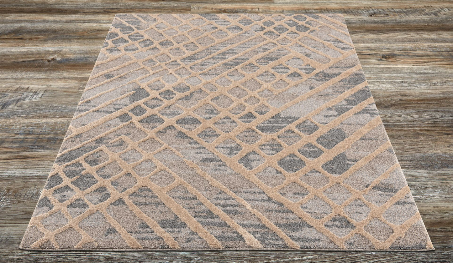 Amazon-Az10415-Gray_Beige-5.3 X 7.6 Area Rug