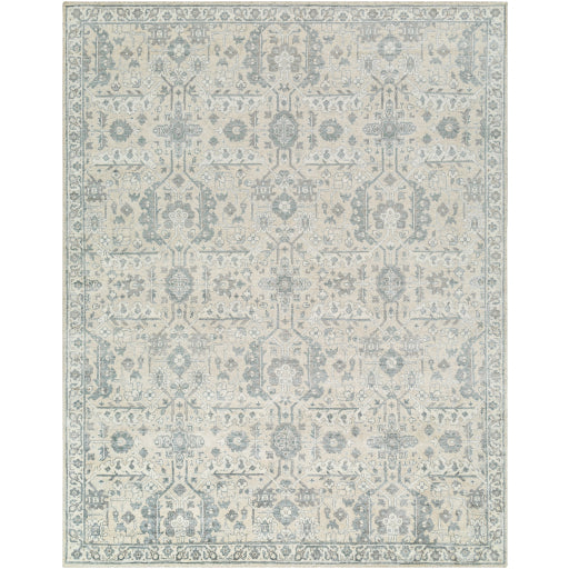 Surya Aleyna Light Blue Rug 10' X 14'