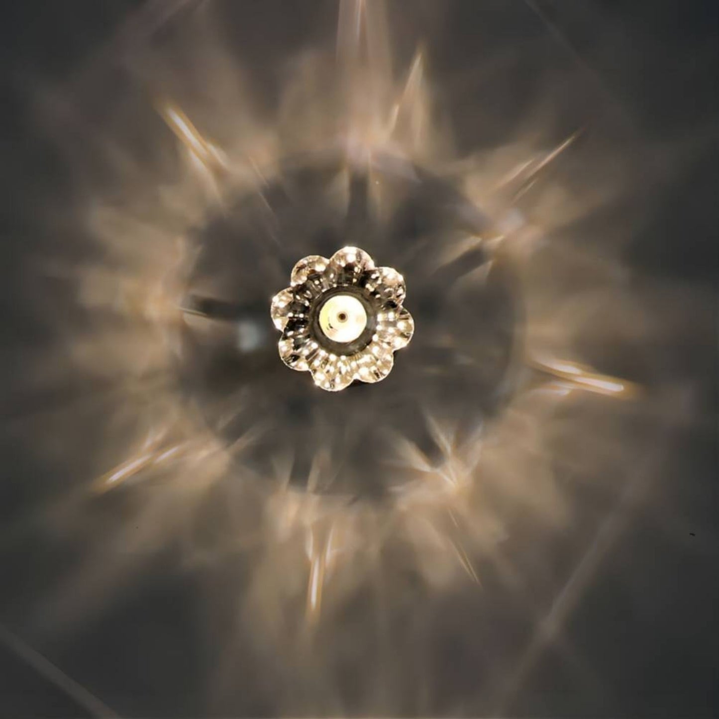 Jasper Crystal Led Light Bulb - Flower