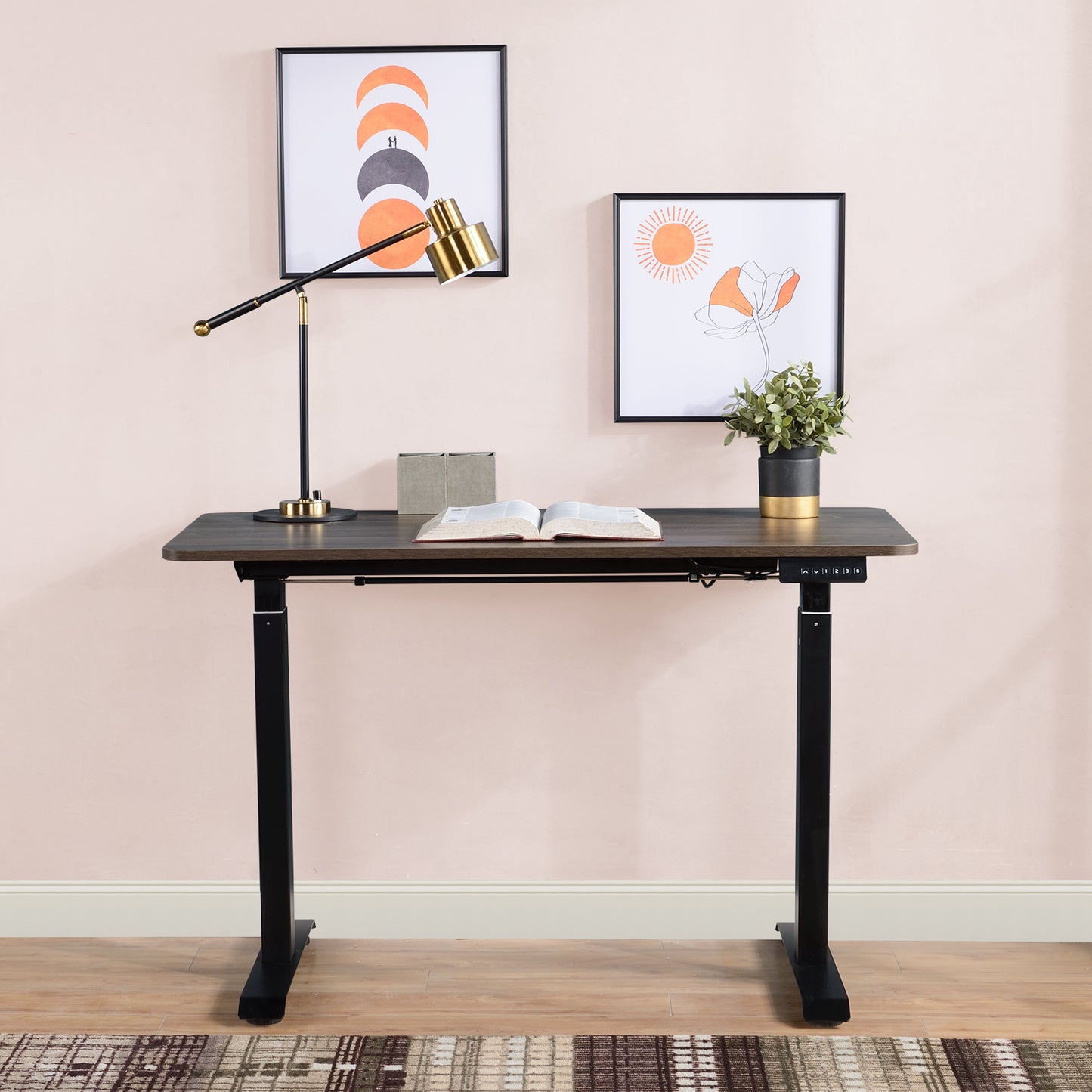 Electric Standing Desk