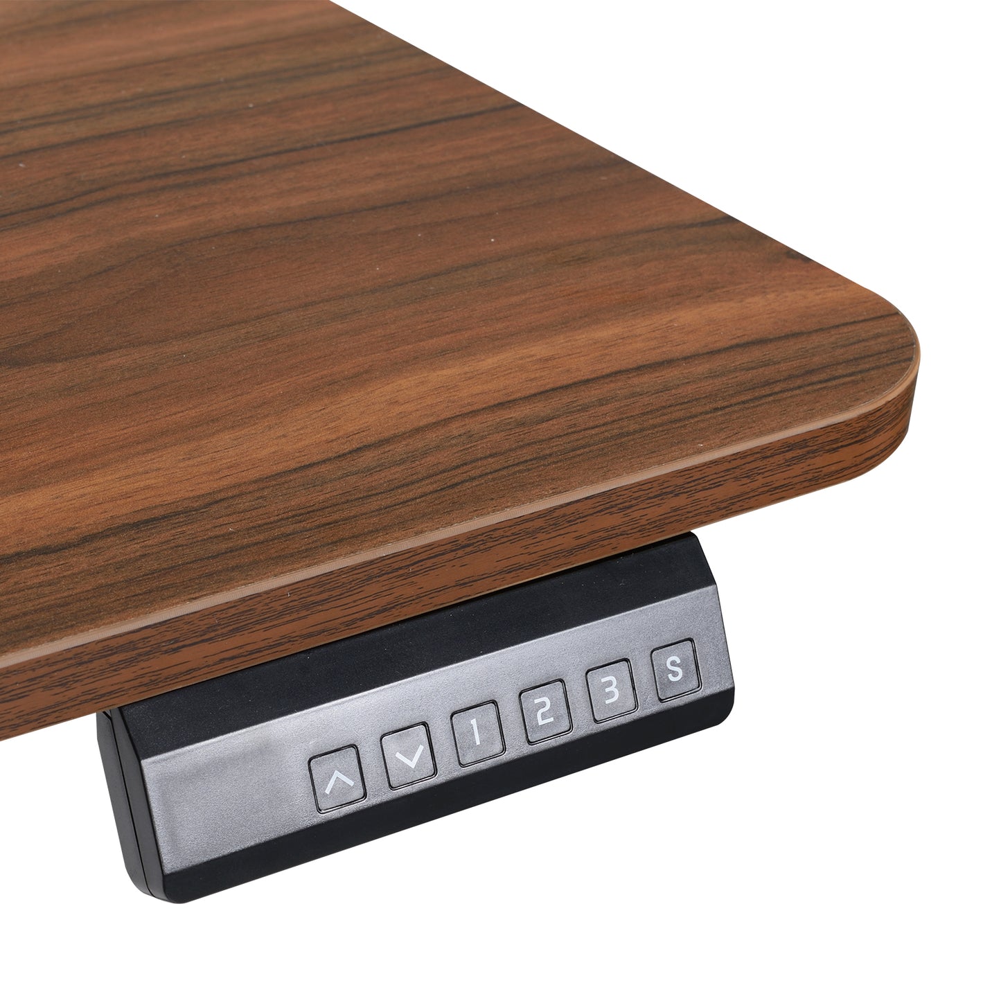 Brown Walnut Electric Standing Desk