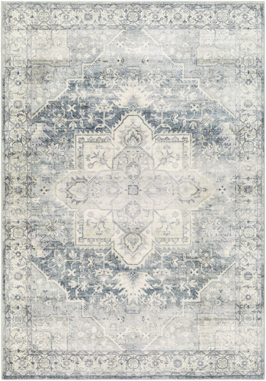 Surya Erin ERN-2318 Rug 2' x 2'11"