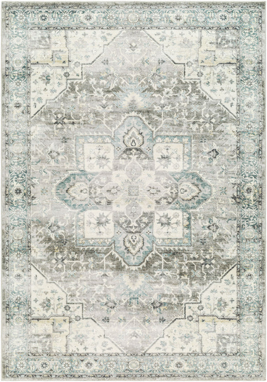 Surya Erin ERN-2319 Rug 2' x 2'11"