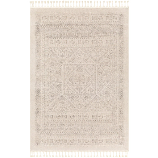 Surya Euphoria Erp-2318 Rug 6'7" X 9'