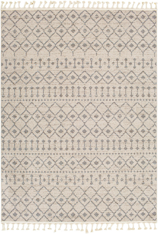 Surya Euphoria 7'10" x 10' Rug