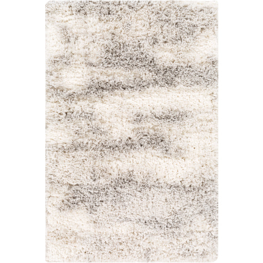 Surya Everton Gray Rug 2' X 3'