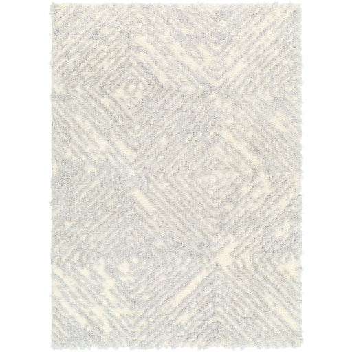 Surya Everton Plus Evp-2312 Rug 2' X 3'