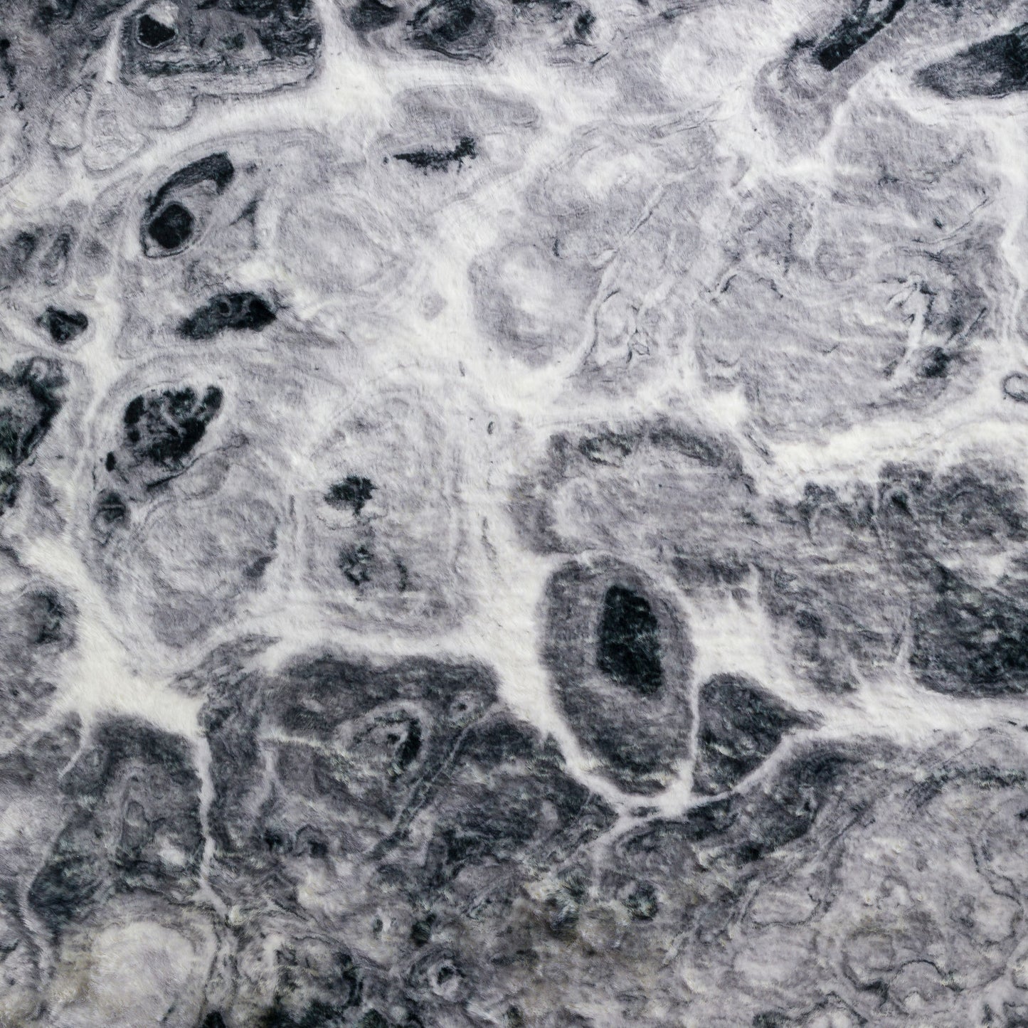 Kikiamo KK14 Marble 8' x 10' Rug