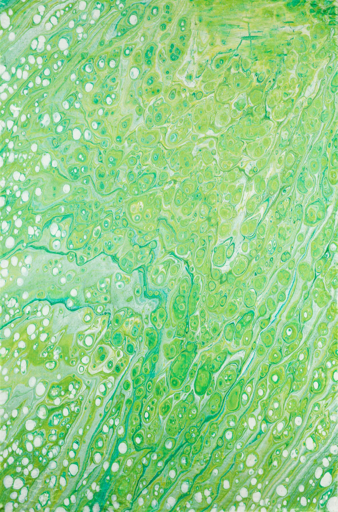 Kikiamo KK5 Lime-In 1'8" x 2'6" Rug