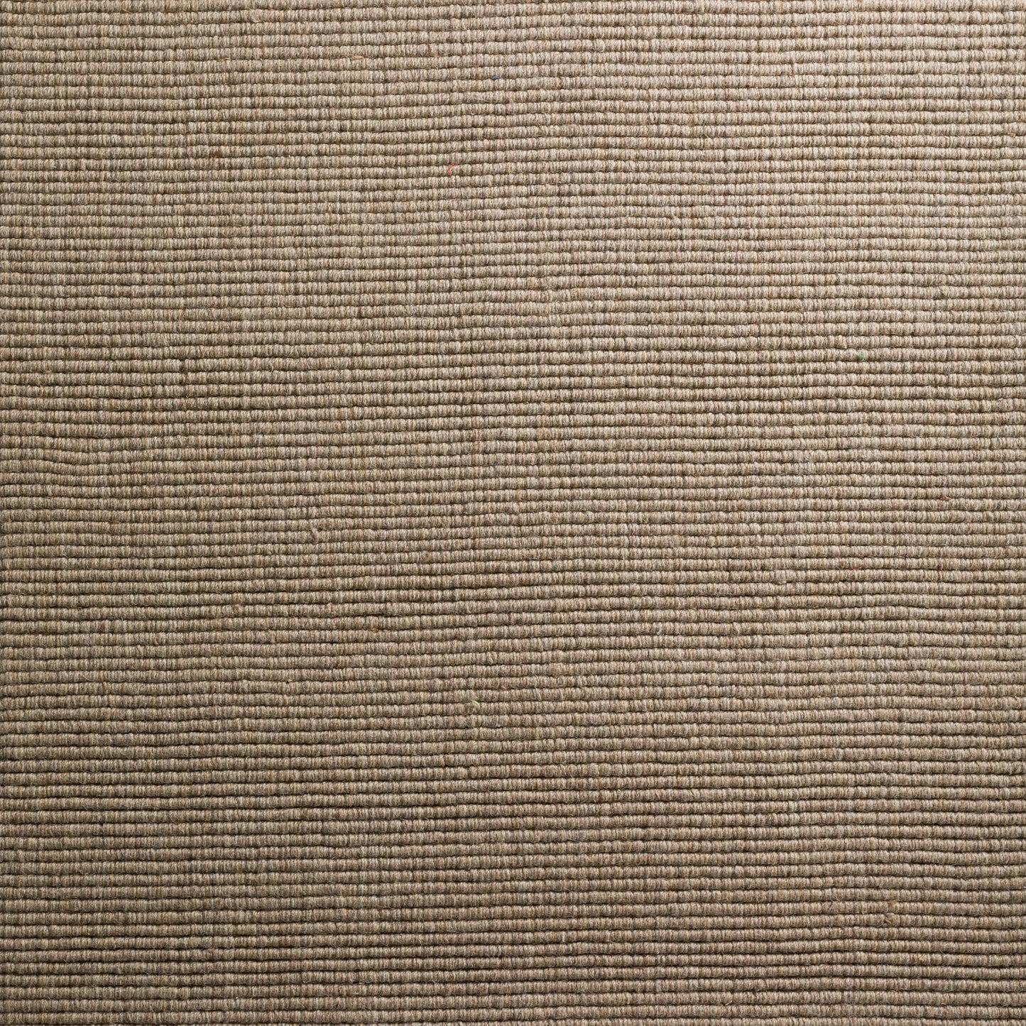 Monaco Sisal MC100 Taupe 3'6" x 5'6" Rug