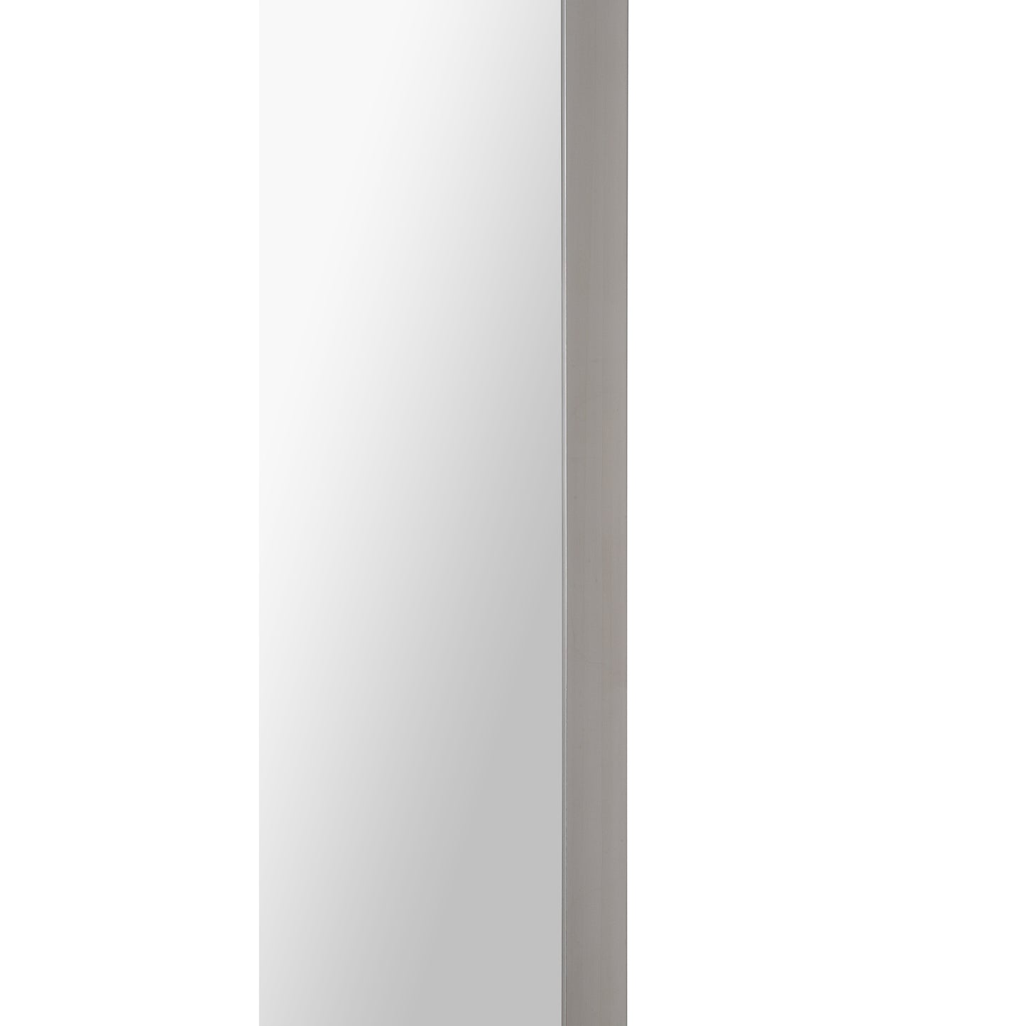 Delphinus Rectangle Mirror 20 X 46 X 1