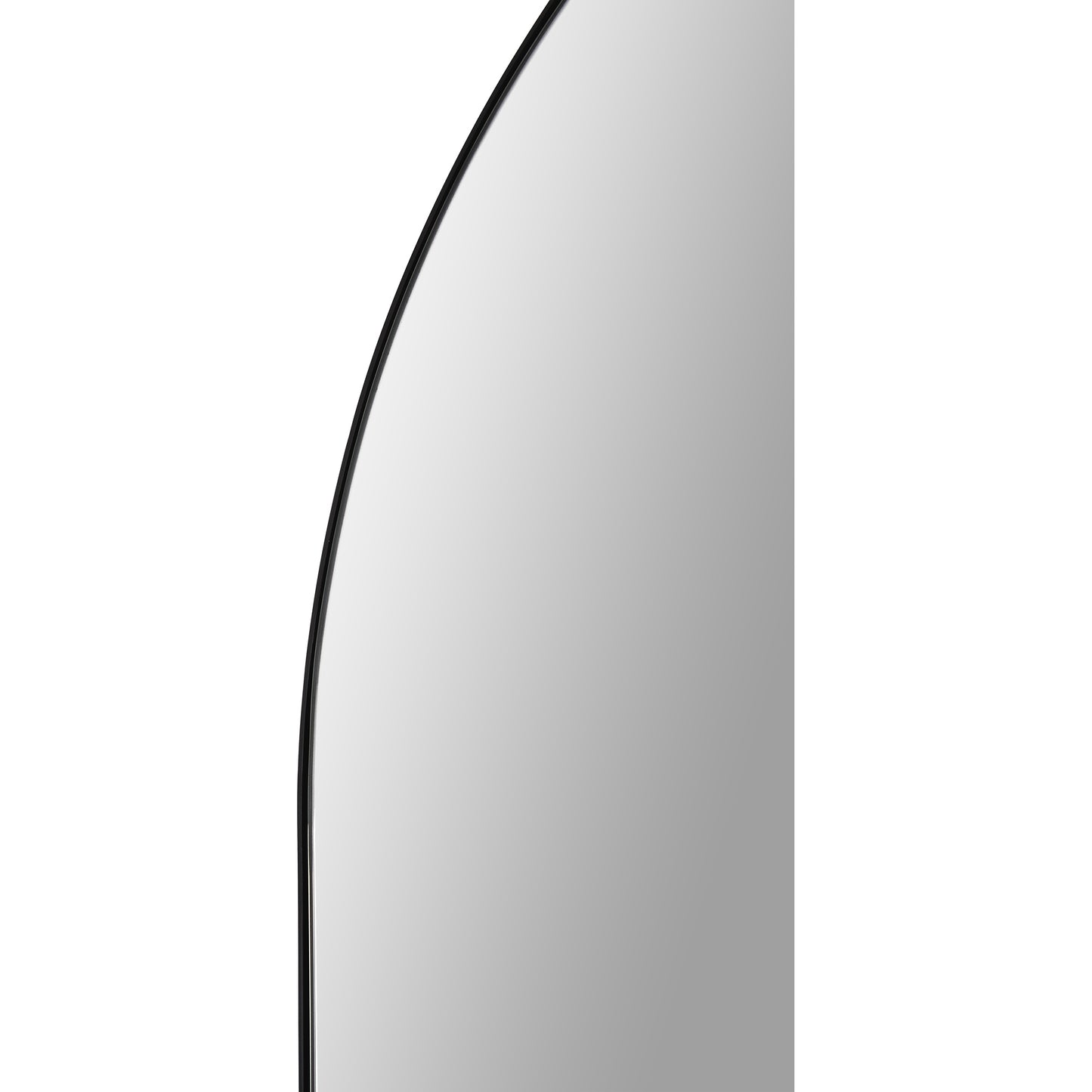 Webster Oval Mirror 26 X 40 X 0.5