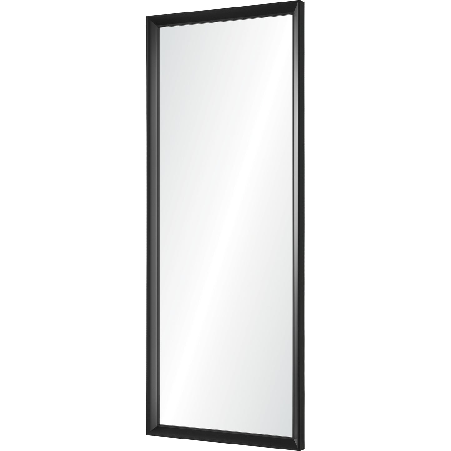 Delacorte Rectangle Mirror 32In.X 80In.X 2.08In.