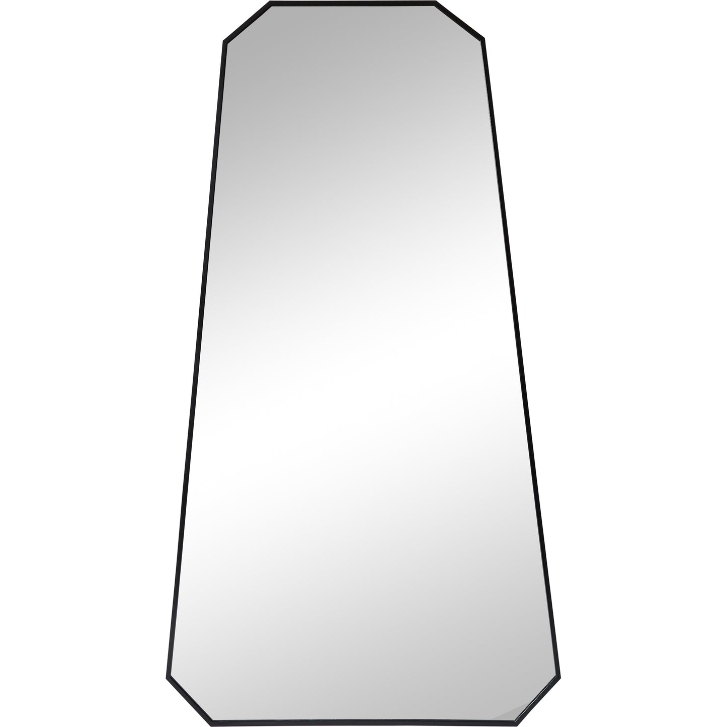 Pablo Irregular Mirror 26In.X 48In.X 1In.