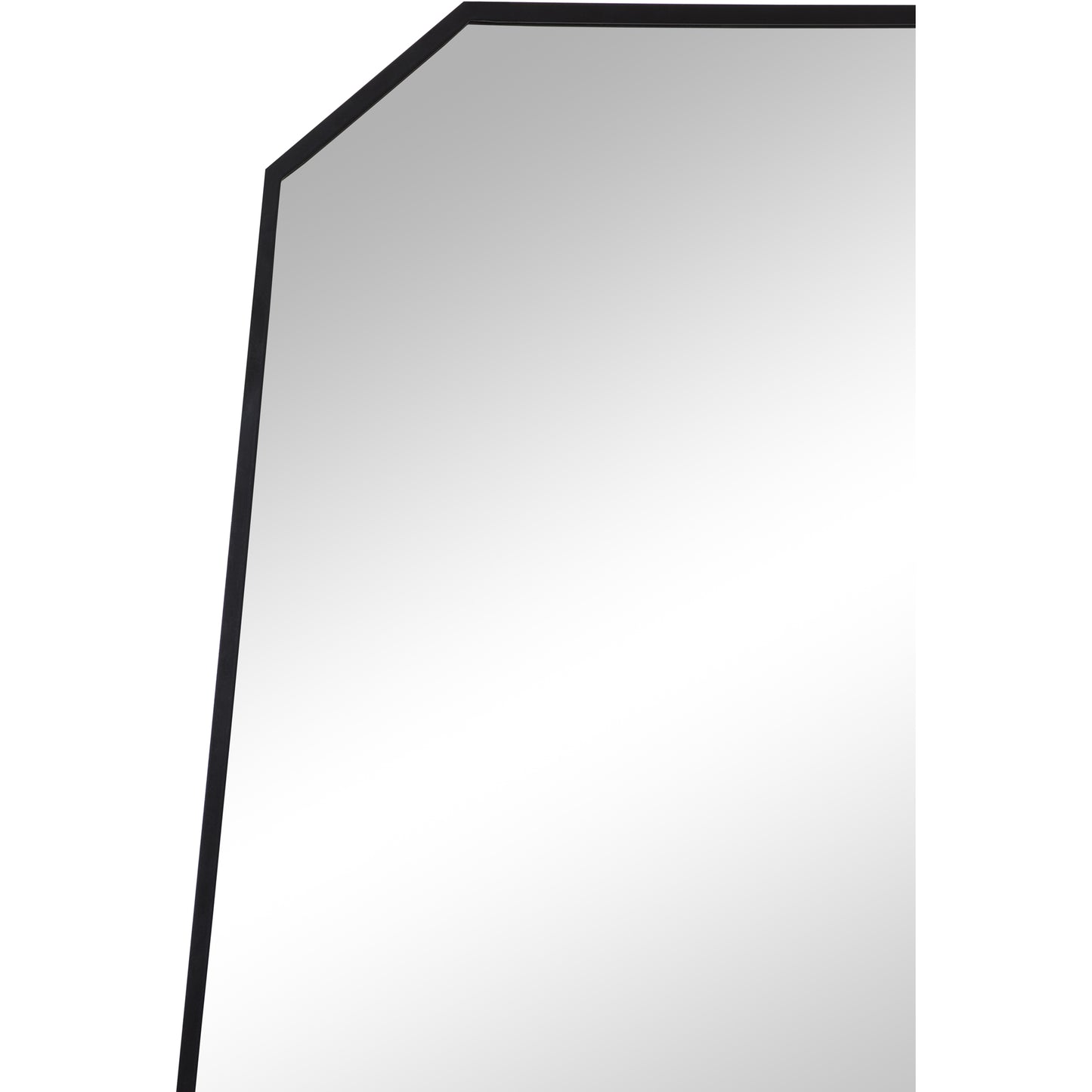 Pablo Irregular Mirror 26In.X 48In.X 1In.