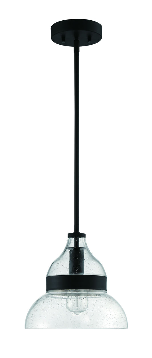 1 Light Mini Pendant, P960FB1