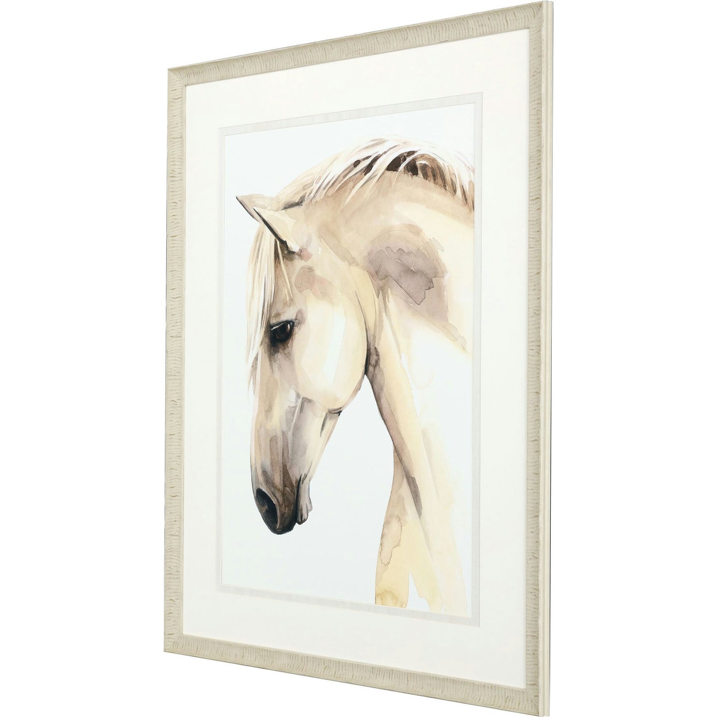 Paragon Golden Palomino II