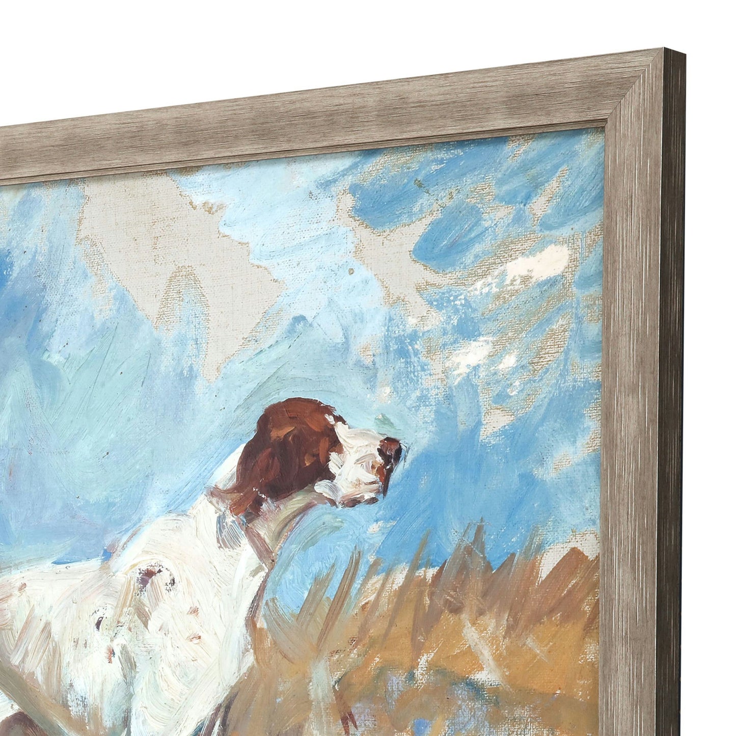 Paragon English Setter on Watch