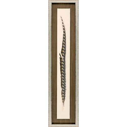 Paragon Lady Amhurst Feather