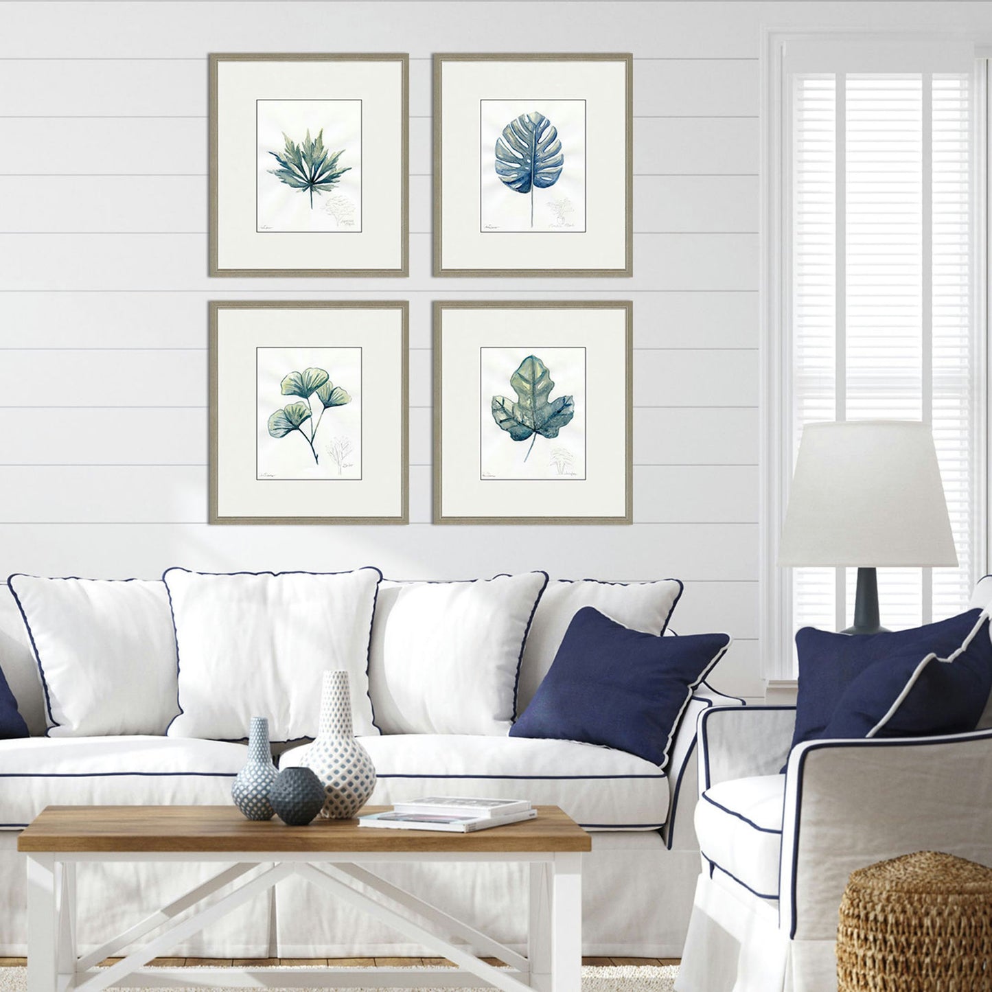 Paragon Plant Drawings S/4