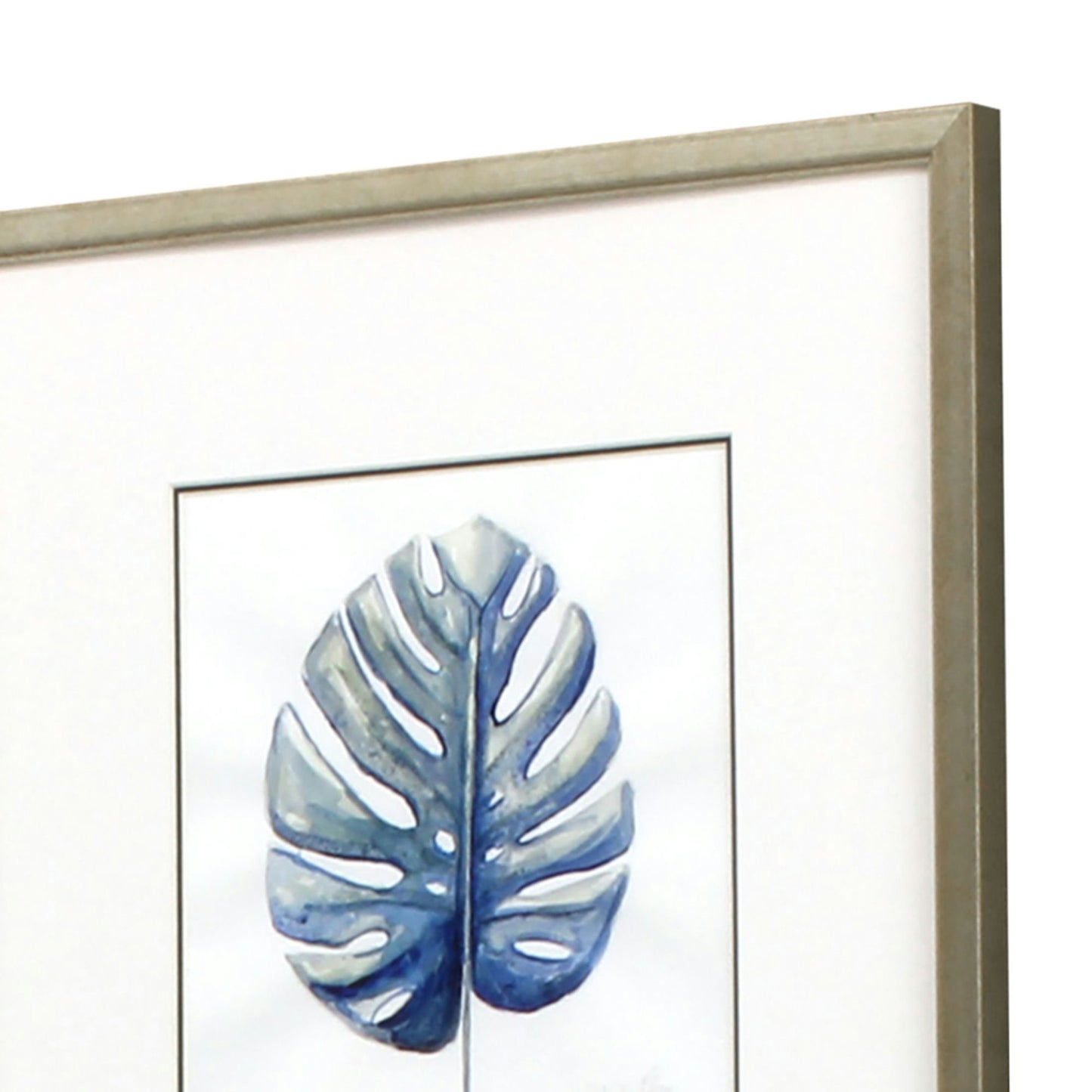 Paragon Plant Drawings S/4