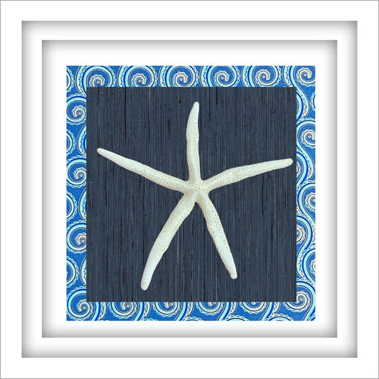 Paragon Starfish I