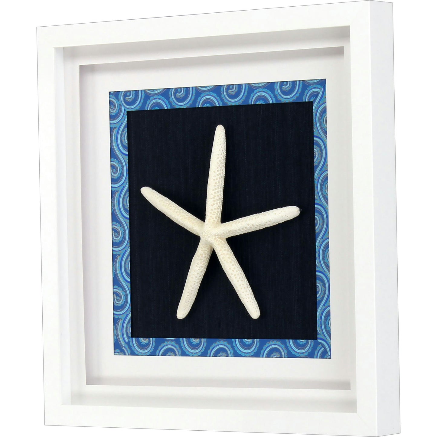 Paragon Starfish I