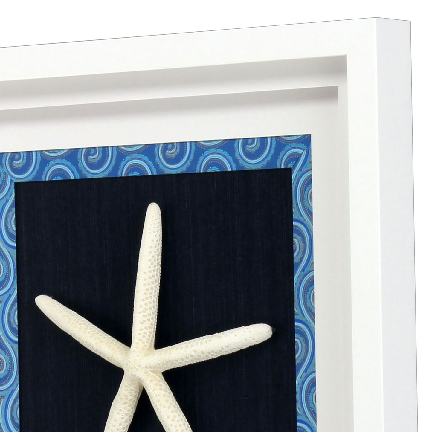 Paragon Starfish I
