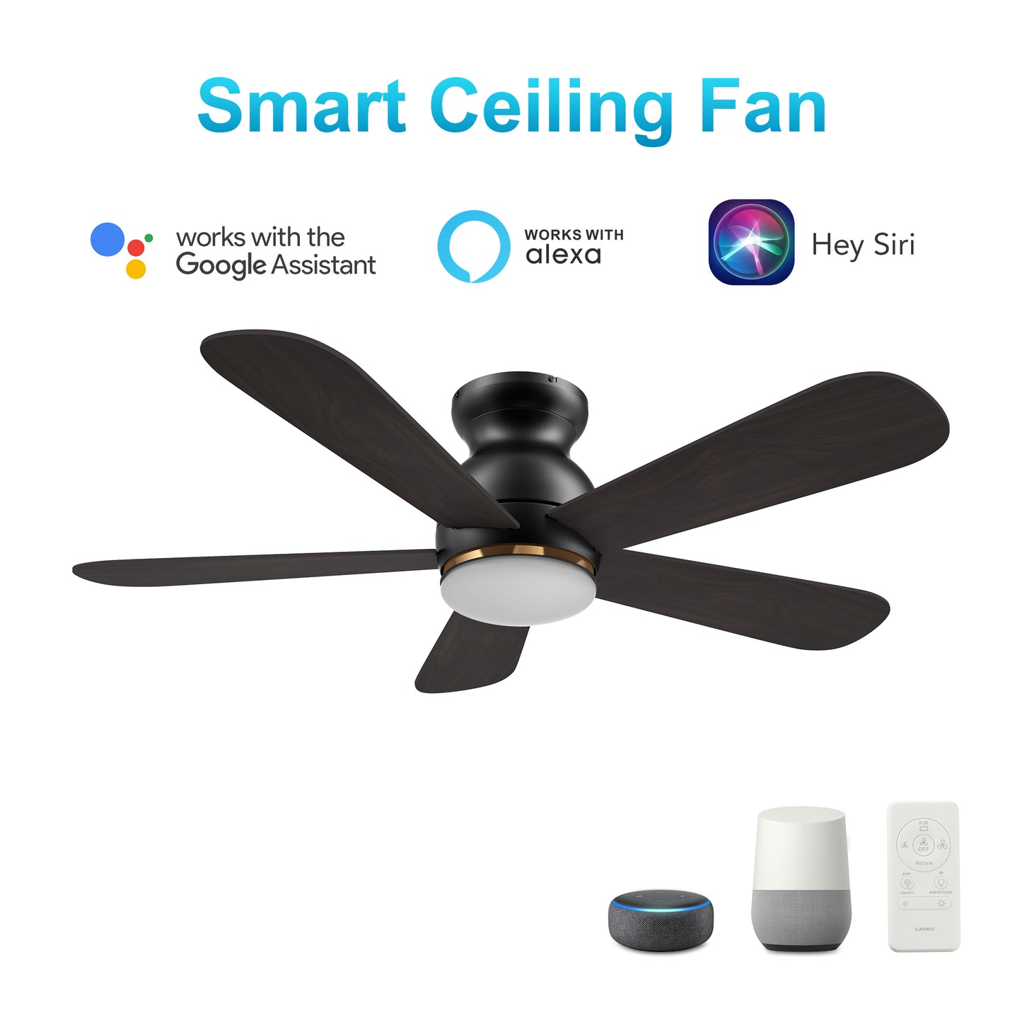 Dubois 48 Inch 5-Blade Smart Ceiling Fan - Black