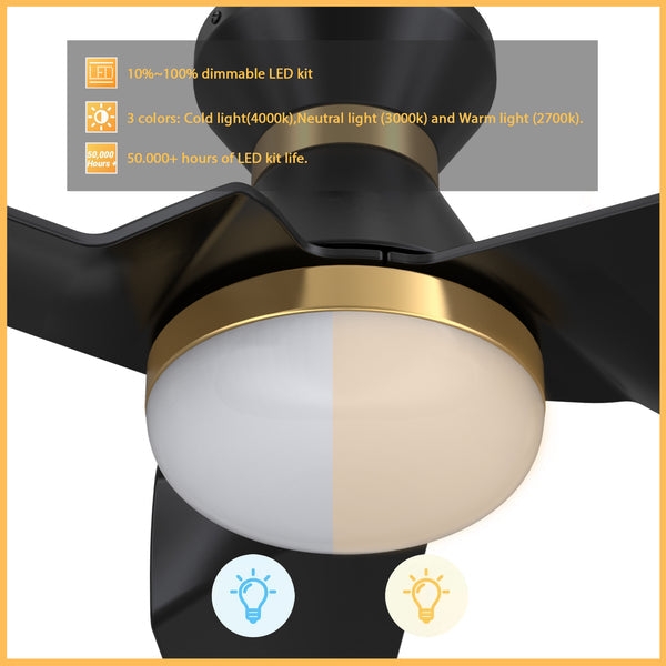 Kreis 52 Inch 3-Blade Smart Ceiling Fan - Black (Gold Detail)