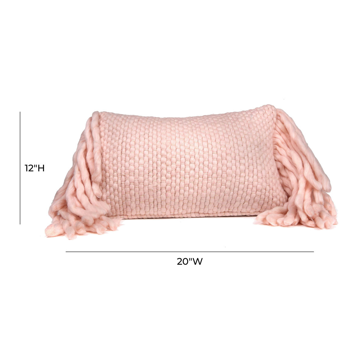 TOV Furniture Afrino Wool Blush Pillow