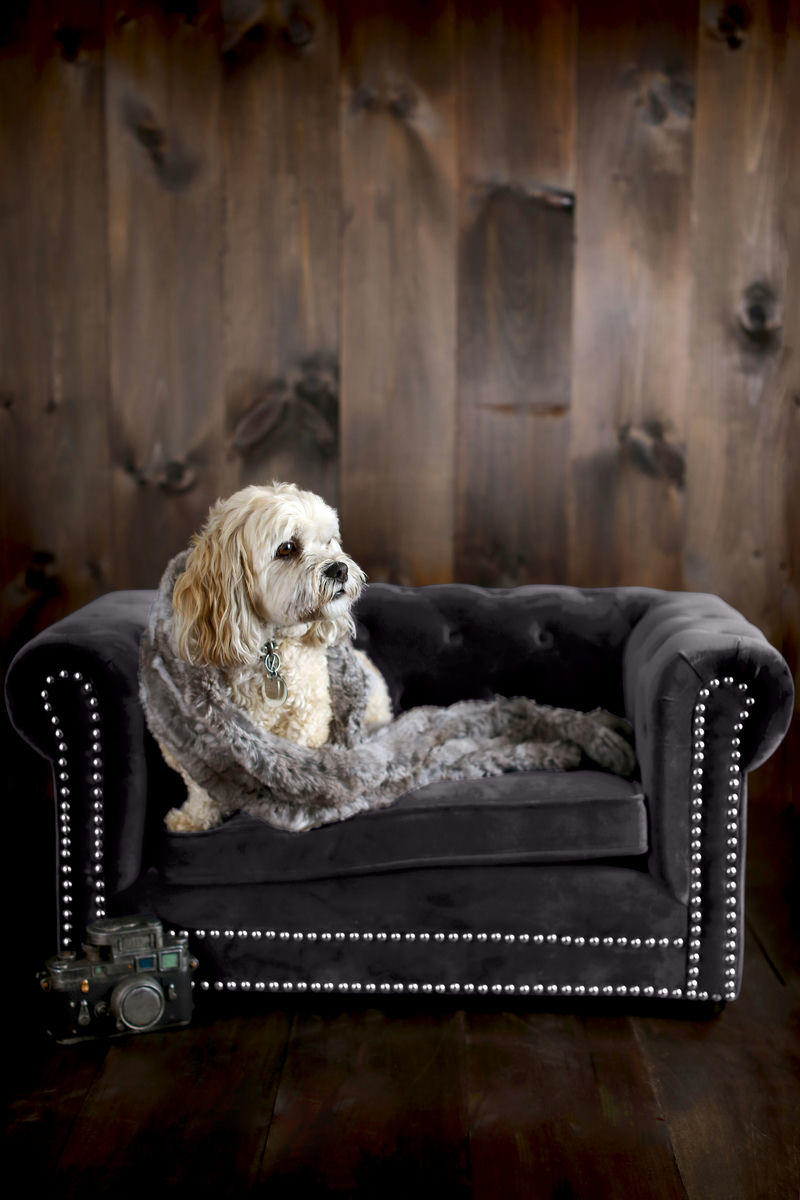 TOV Furniture Husky Grey Pet Bed