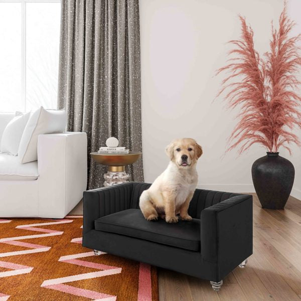 TOV Furniture Aviator Black Pet Bed