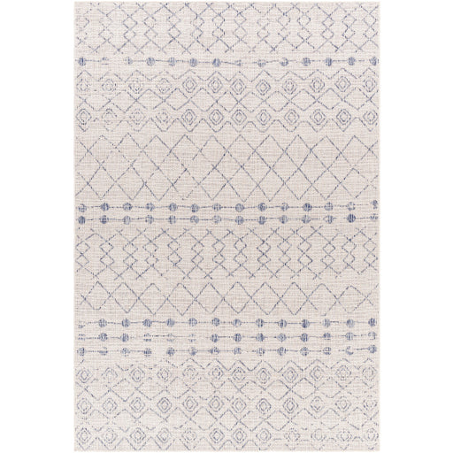 Surya Tuareg Trg-2387 Rug 9'2" X 12'