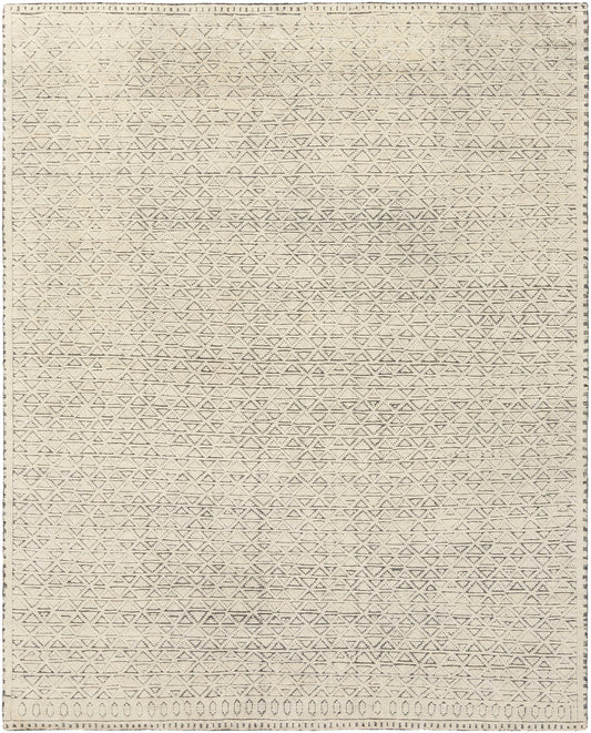 Surya Tunus Tun-2301 Ivory Rug 8' X 10'