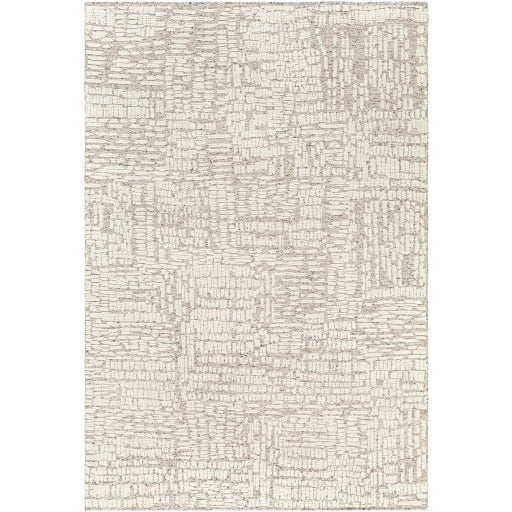 Surya Tunus Tun-2311 Ivory Rug 4' X 6'