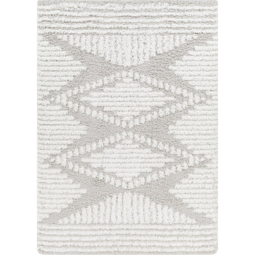 Surya Urban Shag Usg-2325 Rug 7'10" X 10'3"