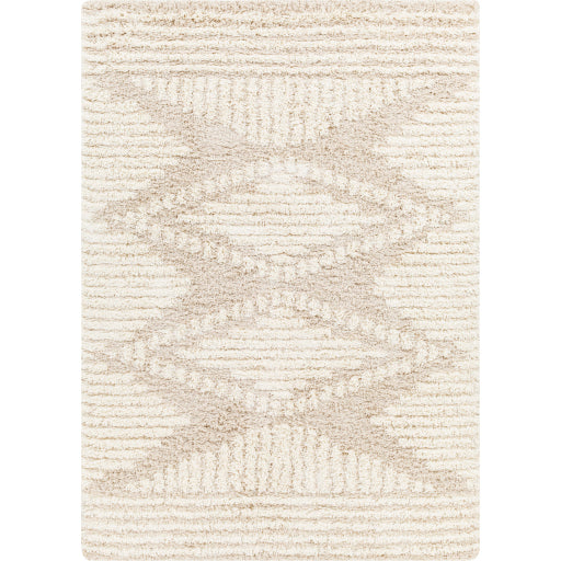 Surya Urban Shag Usg-2326 Rug 7'10" X 10'3"