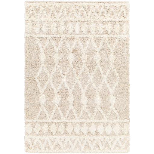 Surya Urban Shag Usg-2345 Rug 5'3" X 7'3"