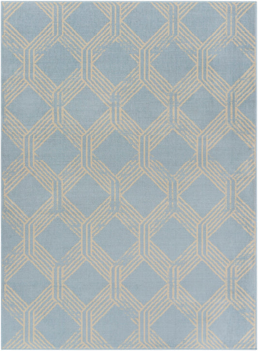 Surya Ustad Ust-2322 Ice Blue Rug 5'3" X 7'3"